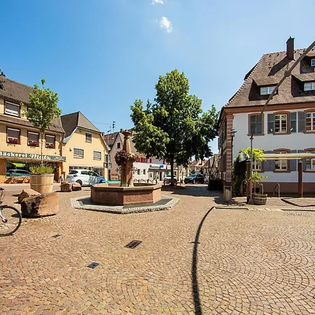Ferienwohnung History In Herbolzheim Nahe Zentrum アパート