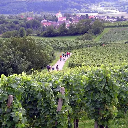 Apartamento In Near Centre