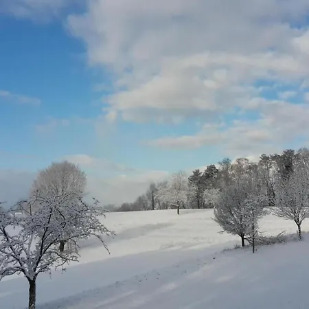 Apartamento In Near Centre Herbolzheim