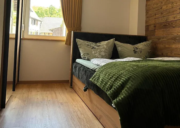 Daire Ferienwohnung History In Herbolzheim Nahe Zentrum *