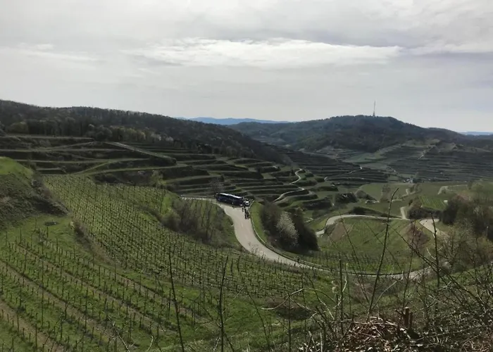 Ferienwohnung History In Herbolzheim Nahe Zentrum
