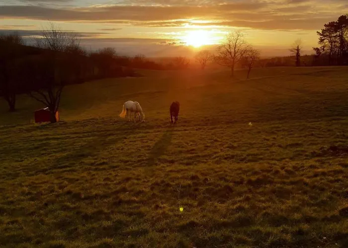 Ferienwohnung History In Herbolzheim Nahe Zentrum Herbolzheim