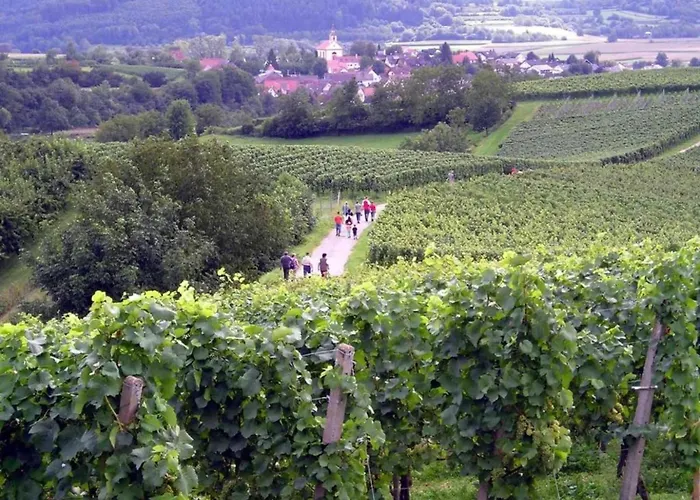 Daire Ferienwohnung History In Herbolzheim Nahe Zentrum