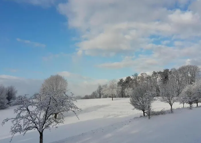 Daire Ferienwohnung History In Herbolzheim Nahe Zentrum Herbolzheim